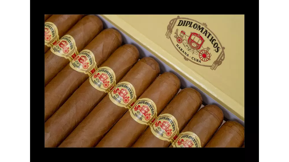 DIPLOMATICOS CANCILLERES