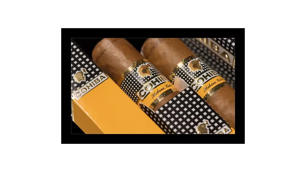 Cohiba Robustos