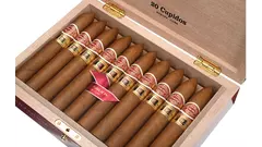 Romeo Y Julieta Cupidos