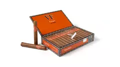 VEGAFINA NICARAGUA TERRA