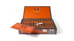 VEGAFINA NICARAGUA TERRA