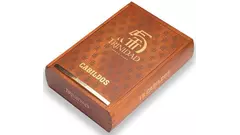 TRINIDAD CABILDOS LE 2024