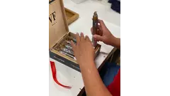 VEGAFINA SERIE 2 COUPAGE LE /12/