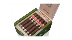 PUNCH PRINCESAS EL 2025