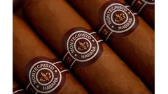 Montecristo Double Edmundo