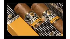 Cohiba Robustos