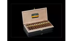 Cohiba Maduro Magicos /25/