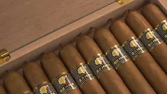 Cohiba Behike BHK 54