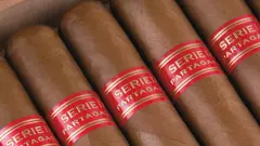 Partagas Serie D N6