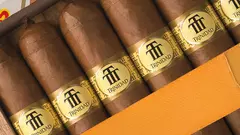 Trinidad Vigia