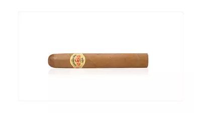 DIPLOMATICOS CANCILLERES