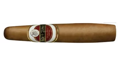 FLOR DE COPAN GORDITO