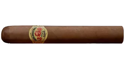 DIPLOMATICOS CANCILLERES