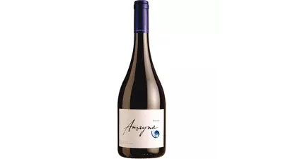 Amayna Syrah 750 ml