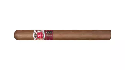 Hoyo de Monterrey Escogidos